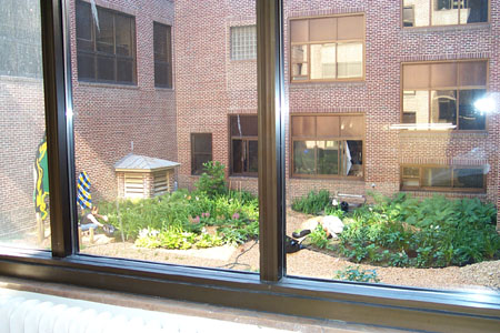 9s_center_garden